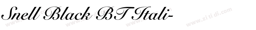 Snell Black BT Itali字体转换